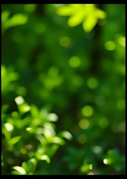 Beautiful nature green bokeh background bokeh green bokeh green abstract background light bright blur pattern