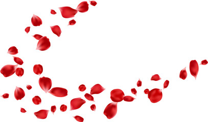 Flying red rose petals decor spa product, Valentine romantic card, banner and background vector illustration