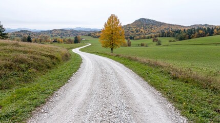 Naklejka premium Winding gravel road, autumn countryside, hills, tree