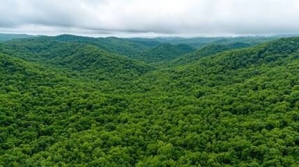 Fototapeta premium Lush green mountain valley landscape, cloudy sky, aerial view, nature background