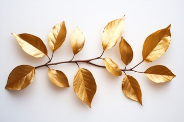 Golden leaves arranged on white background