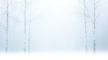 Fototapeta premium Misty Winter Birch Forest Pale White