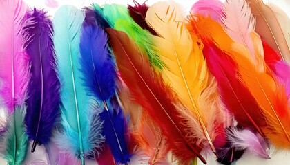 Obraz premium Colorful feathers arranged in a vibrant display for craft and decoration activities