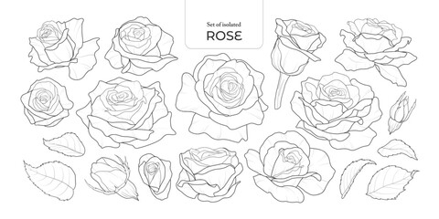 Set of isolated Rose. Cute flower illustration in hand drawn style. Black outline and white plain on a transparent background. Volume 2.
