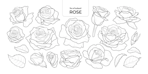 Set of isolated Rose. Cute flower illustration in hand drawn style. Black outline and white plain on a transparent background. Volume 2. © Plawarn