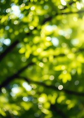 Fresh green tree light blury bokeh texture bokeh green bokeh green abstract background light bright blur pattern