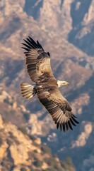 Obraz premium Majestic eagle in flight over mountainous terrain.