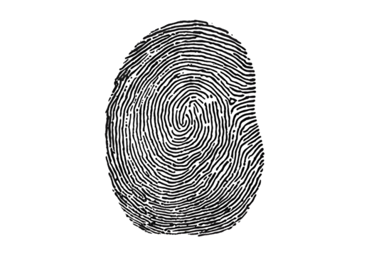 Human ink fingerprint isolated on white