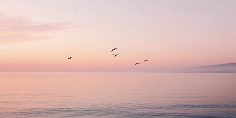 Sunset sunrise scene of the sea with pink sky. Sky sea and bird silhouette with mountain horizon background wallpaper