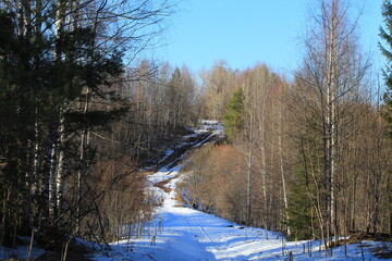 the beginning of spring in the forests and fields of north-eastern Europe