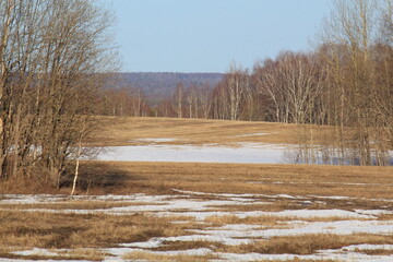 fields thawed from snow at the beginning of spring