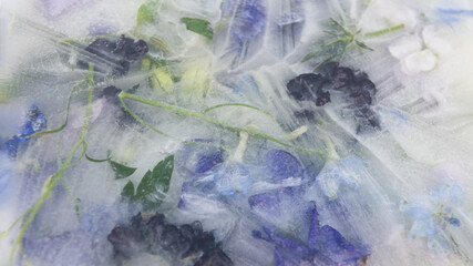 abstract background with purple and blue flowers frozen in water in watercolor style