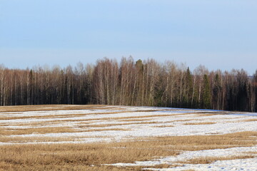 the beginning of spring in the forests and fields of north-eastern Europe