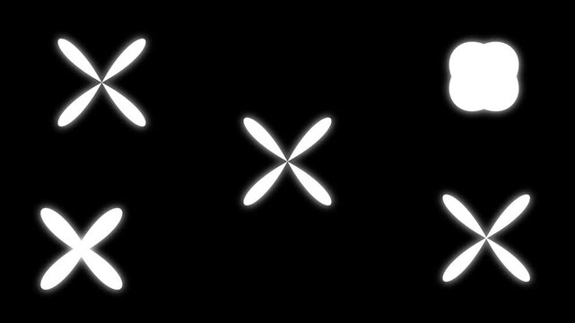 Twinkel Efects White Fireworks Display on Black Background  4K Stock Footage.