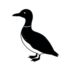 Unique Common Murre Silhouette Vectors for Digital Projects