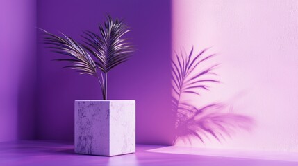 Minimalist plant decor with bold purple shadows
