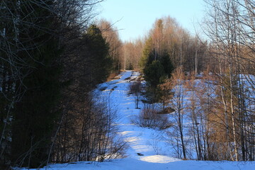 the beginning of spring in the forests and fields of north-eastern Europe