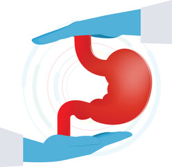 Stomach, Human stomach protection concept. gastric health care
