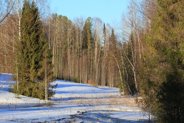 the beginning of spring in the forests and fields of north-eastern Europe