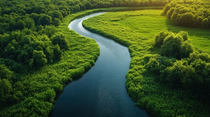 Gentle river winding through green fields