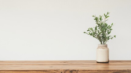 Simple Plant in Vase on Wooden Table