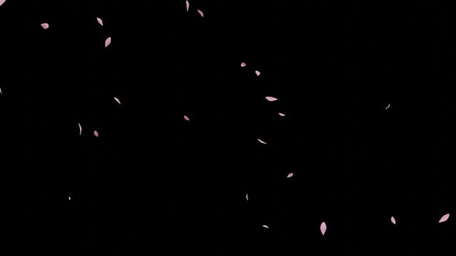 Falling Petals Pink &ndash; 16:9 Transparent |ピンク色花びらのパーティクルアニメーション　背景透過