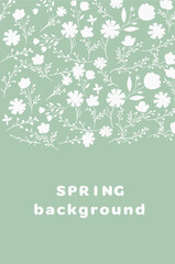 Fototapeta premium spring card with white flowers on blue background