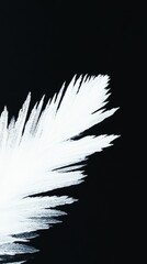 Obraz premium Abstract white feather pattern on black background
