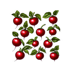 Vibrant Red Radishes A Delicious Pattern of Fresh Produce