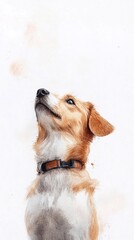 Beautiful Watercolor Drawing of a Dog Looking up With Curiosity and Joy on a White Background