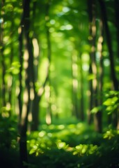 Green bokeh forest background nature-themed design bokeh green bokeh green abstract background light bright blur pattern