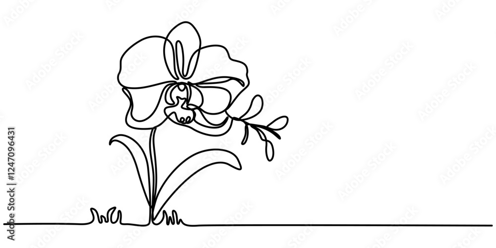 Aufkleber phalaenopsis orchid flowers continuous line drawing with editable stroke, beautiful orchids line art