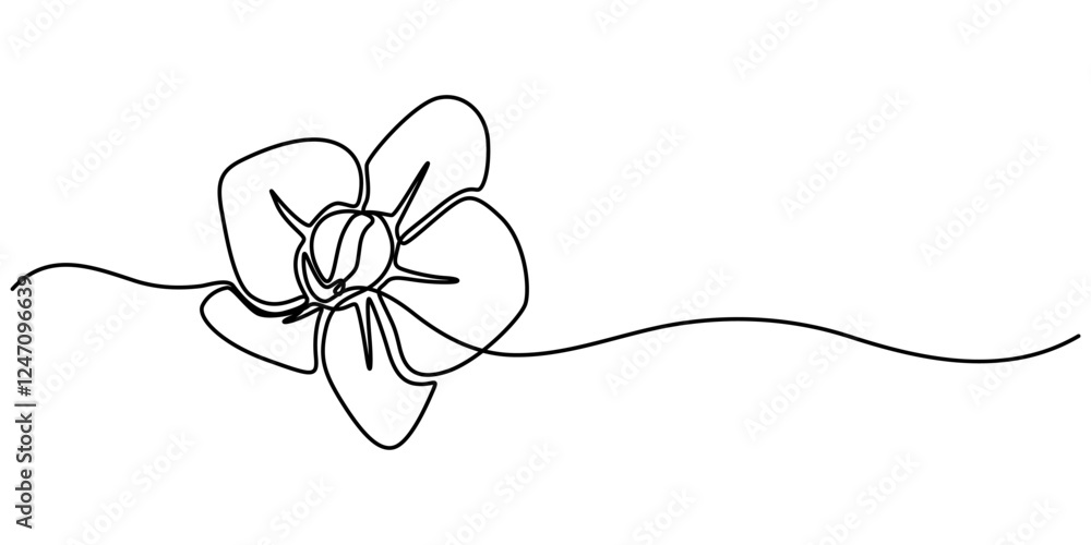 Poster phalaenopsis orchid flowers continuous line drawing with editable stroke, beautiful orchids line art