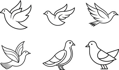 dove and peace