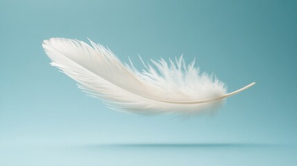 Obraz premium Soft white feather floating gracefully against a tranquil blue background in natural light