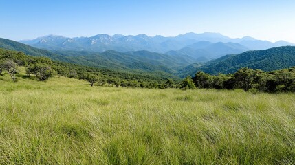 Fototapeta premium Mountain meadow landscape, summer day, scenic view, travel poster