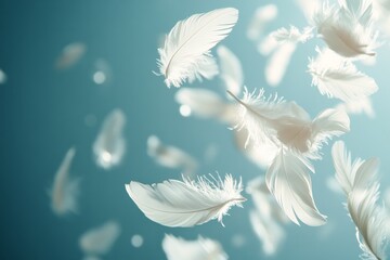 Naklejka premium Soft white feathers floating gracefully in a serene blue background
