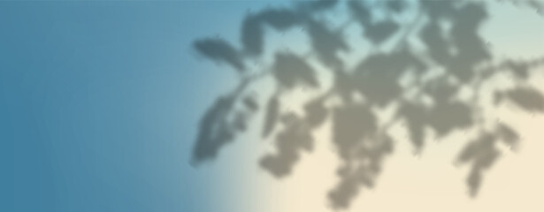 Abstract shadow of leaves and branches on white concrete wall.Soft overlay of natural light.Tropical blurred leaf.Natural light layout.