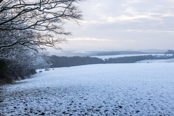 Looking out over a snow covered landscape in rural Sussex, on a cold January morning