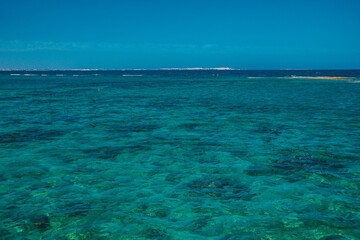 Fototapeta premium Seascape. Red Sea in Egypt