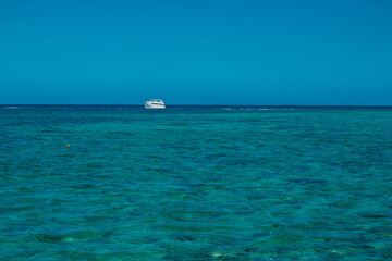 Obraz premium Seascape. Red Sea in Egypt