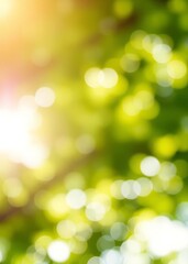 Obraz premium Earth day concept sunny abstract green bokeh nature background bokeh green bokeh green abstract background light bright blur pattern
