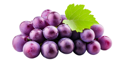 Harvesting fresh grapes vineyard food studio isolated on transparent background