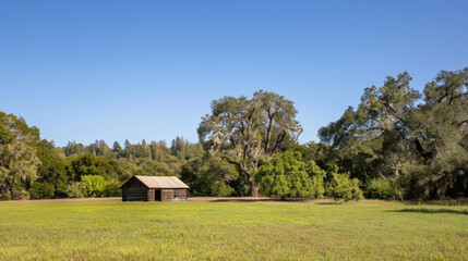 Obraz premium old house in the forest