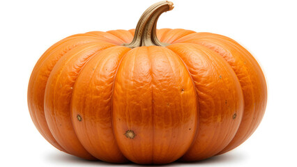Vibrant Pumpkin Showcasing Natural Autumn Beauty