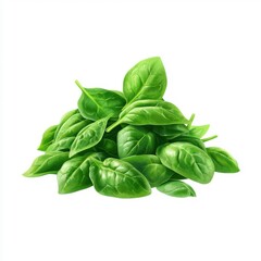 Fototapeta premium Pile of Fresh Spinach Leaves in Vector Illustration Style