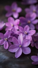 Purple flowers on a dark surface, highlighting their vibrant colors and intricate details