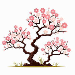 cherry blossom tree