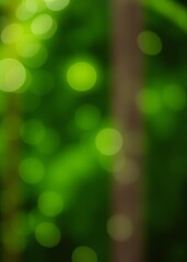Obraz premium Abstract green summer bokeh background gradient view art texture glow bokeh green bokeh green abstract background light bright blur pattern