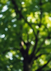 Obraz premium Blur image of abstract bokeh of tree green color background bokeh green bokeh green abstract background light bright blur pattern